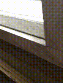 1600764218594682.gif