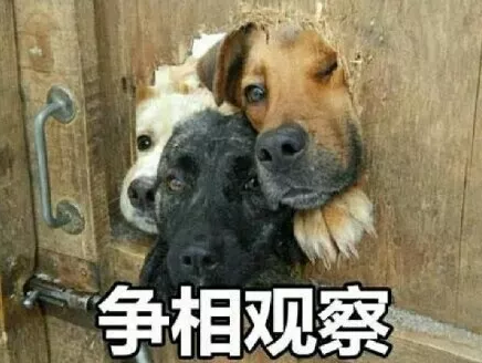 1601882434480727.png