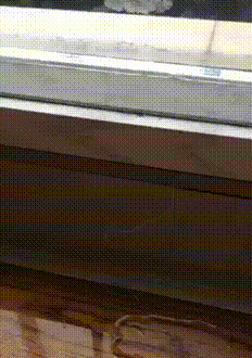 08.gif