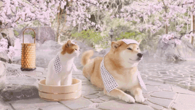 1602487596576968.gif
