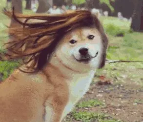 13.png