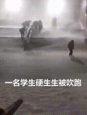 1606110325361497.gif