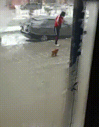 1606110331177295.gif