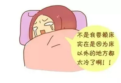 06.png