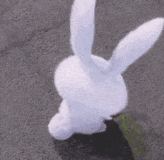 14.gif