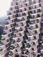 1611887366963711.gif