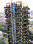 1611887415944723.gif