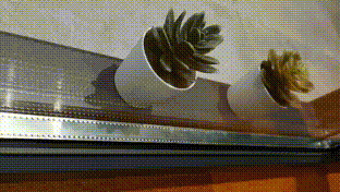 1613979585445402.gif