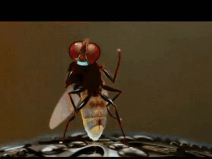 1614216470508869.gif