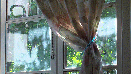 1615367861171681.gif