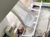 1622691893150992.gif
