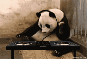 1623119039356439.gif